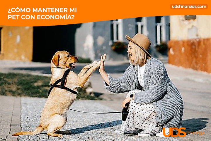 ¿Cómo mantener mi mascota con economía?