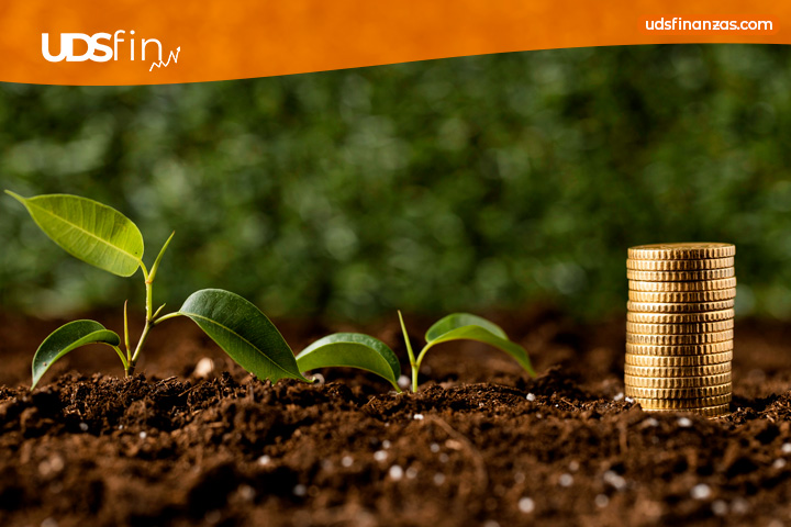 Ethical investing in Canada: how to grow your money without harming the planet