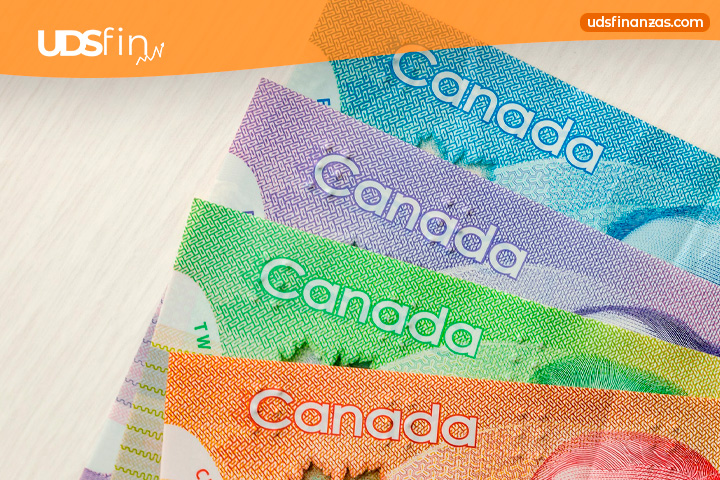 Basic monthly budget for low-income Canadian families: how to make the most of a tight budget