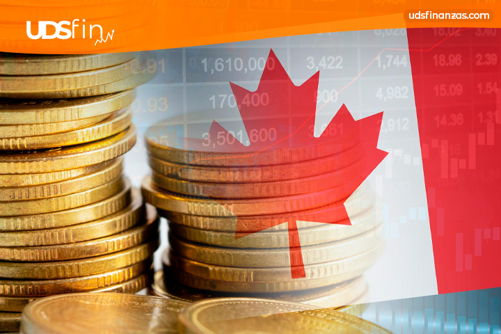 ¿Vale la pena trabajar en Canadá? Nuevas oportunidades laborales