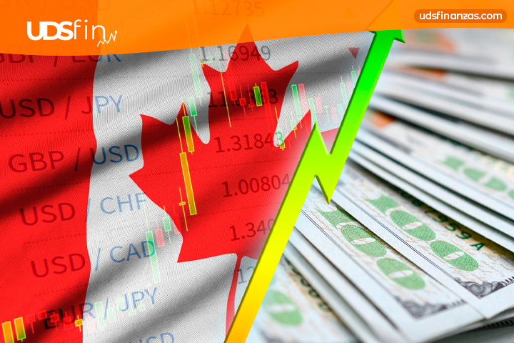 Canadian markets are rising: why oil and gold are driving growth in 2026